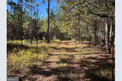 0 Buck Creek Road, Sylvania, GA 30467 - Photo 7