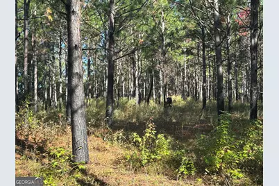 0 Buck Creek Road, Sylvania, GA 30467 - Photo 5
