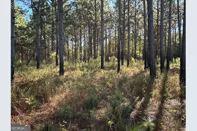 0 Buck Creek Road, Sylvania, GA 30467 - Photo 19