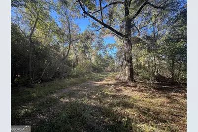0 Buck Creek Road, Sylvania, GA 30467 - Photo 3