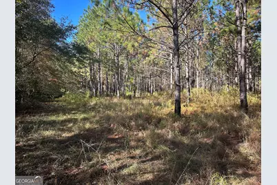 0 Buck Creek Road, Sylvania, GA 30467 - Photo 9