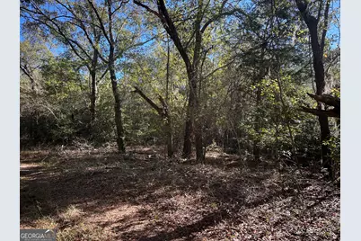 0 Buck Creek Road, Sylvania, GA 30467 - Photo 11