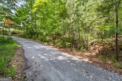 721 Rausch Ridge, Chattahoochee Hills, GA 30268 - Photo 3