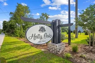115 Hollingsworth Loop, Statesboro, GA 30461 - Photo 27