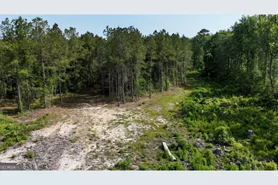 0 Bells Ferry Road, Lumber City, GA 31549 - Photo 7