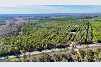 0 Bells Ferry Road, Lumber City, GA 31549 - Photo 1