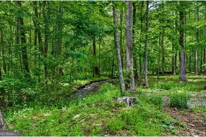 1 Thurmond Walker Road, Dahlonega, GA 30533 - Photo 9