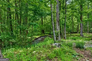 1 Thurmond Walker Rd, Dahlonega, GA 30533 - Photo 9