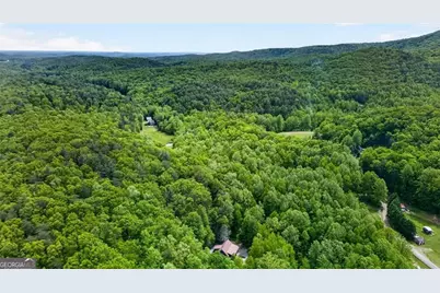 1 Thurmond Walker Road, Dahlonega, GA 30533 - Photo 43