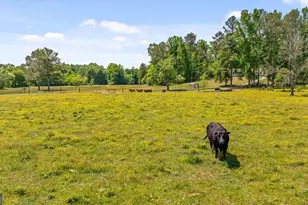 446 Brown Bridge Rd, Chatsworth, GA 30705 - Photo 9