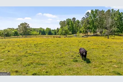 446 Brown Bridge Road, Chatsworth, GA 30705 - Photo 15