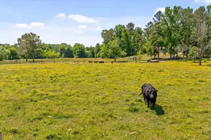 446 Brown Bridge Rd, Chatsworth, GA 30705 - Photo 15