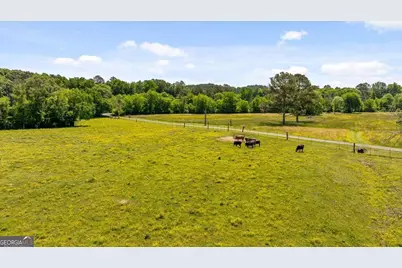 446 Brown Bridge Road, Chatsworth, GA 30705 - Photo 13