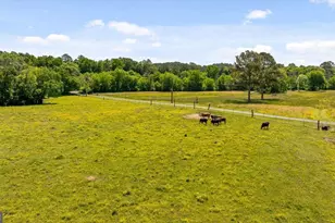 446 Brown Bridge Rd, Chatsworth, GA 30705 - Photo 13