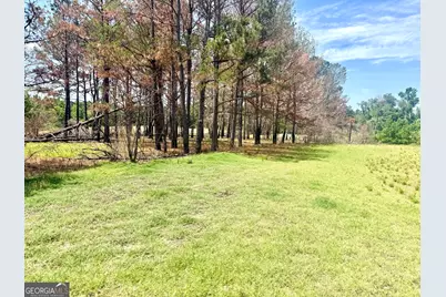 1983 Minton Chapel Road, Bartow, GA 30413 - Photo 27