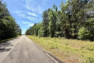 1983 Minton Chapel Rd, Bartow, GA 30413 - Photo 19