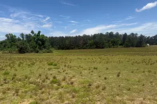 1983 Minton Chapel Rd, Bartow, GA 30413 - Photo 29
