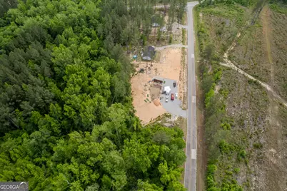 Lot 1 County Line Rd, Mitchell, GA 30820 - Photo 11