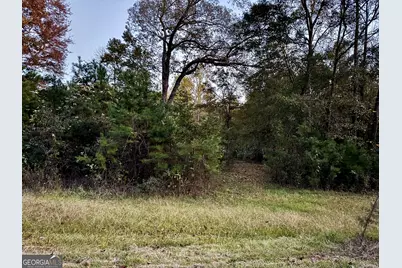22 Century Drive, Martin, GA 30557 - Photo 9