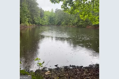 145 +/- Acres George Smith Road, Talbotton, GA 31827 - Photo 19