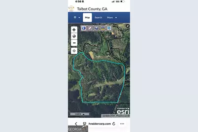 145 +/- Acres George Smith Road, Talbotton, GA 31827 - Photo 31