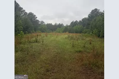 145 +/- Acres George Smith Road, Talbotton, GA 31827 - Photo 11