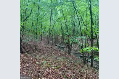 145 +/- Acres George Smith Road, Talbotton, GA 31827 - Photo 5