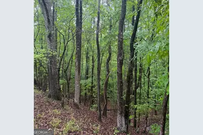 145 +/- Acres George Smith Road, Talbotton, GA 31827 - Photo 29