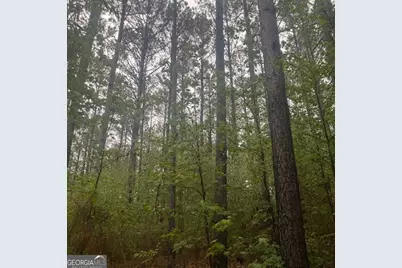 145 +/- Acres George Smith Road, Talbotton, GA 31827 - Photo 23