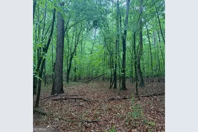 145 +/- Acres George Smith Road, Talbotton, GA 31827 - Photo 25