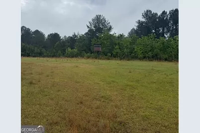 145 +/- Acres George Smith Road, Talbotton, GA 31827 - Photo 17