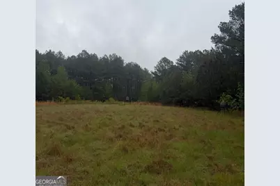 145 +/- Acres George Smith Road, Talbotton, GA 31827 - Photo 15