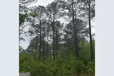 145 +/- Acres George Smith Road, Talbotton, GA 31827 - Photo 27