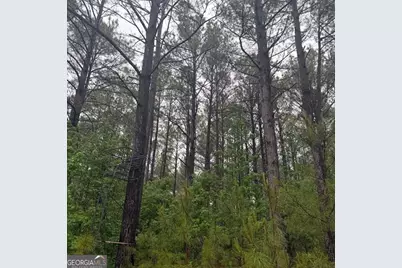 145 +/- Acres George Smith Road, Talbotton, GA 31827 - Photo 21