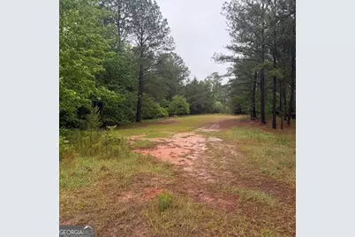 145 +/- Acres George Smith Road, Talbotton, GA 31827 - Photo 13