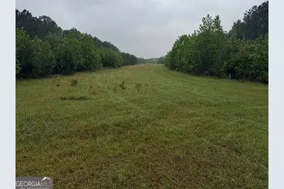 145 +/- Acres George Smith Road, Talbotton, GA 31827 - Photo 9