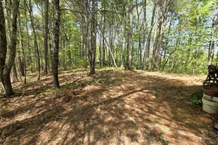 92 Misty Mountain Trail, Morganton, GA 30560 - Photo 47