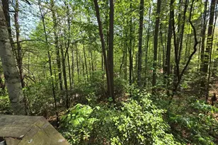 92 Misty Mountain Trail, Morganton, GA 30560 - Photo 47