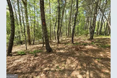 92 Misty Mountain Trail, Morganton, GA 30560 - Photo 45