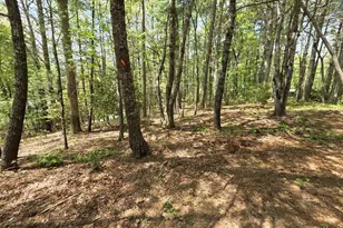 92 Misty Mountain Trail, Morganton, GA 30560 - Photo 45