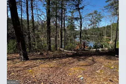 92 Misty Mountain Trail, Morganton, GA 30560 - Photo 51