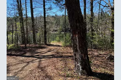 92 Misty Mountain Trail, Morganton, GA 30560 - Photo 55