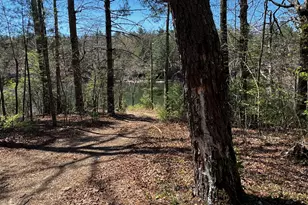 92 Misty Mountain Trail, Morganton, GA 30560 - Photo 55
