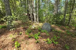 92 Misty Mountain Trail, Morganton, GA 30560 - Photo 43