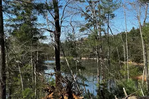 92 Misty Mountain Trail, Morganton, GA 30560 - Photo 53