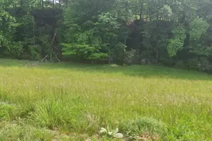 Lot 67 Hillside Ct, Morganton, GA 30560 - Photo 1