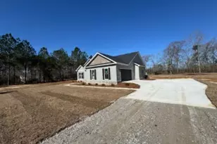 4381 Nessmith Rd, Statesboro, GA 30458 - Photo 3