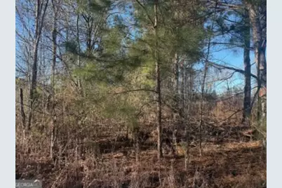 4381 Nessmith Road, Statesboro, GA 30458 - Photo 19