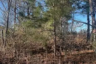 4381 Nessmith Rd, Statesboro, GA 30458 - Photo 19