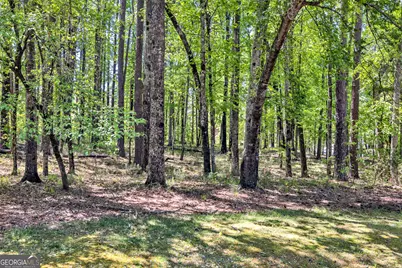 1010 Troon Court, Greensboro, GA 30642 - Photo 11